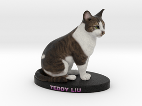 Custom Cat Figurine - Teddy Liu in Full Color Sandstone