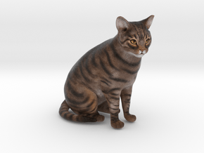 Custom Cat Figurine - Rosie in Full Color Sandstone