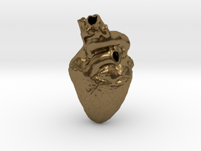 Real Anatomical Heart Hollow in Natural Bronze