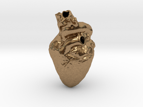 Real Anatomical Heart Hollow in Natural Brass
