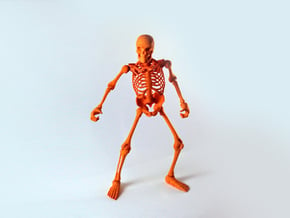Articulated Skeleton  in Orange Processed Versatile Plastic