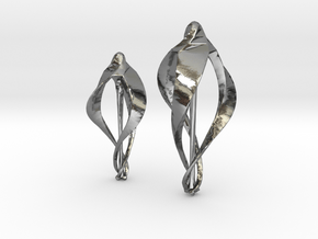 Iris in Polished Silver