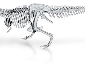 Digital-Tyrannosaurus Skeleton Sue 40 cm long.  in Tyrannosaurus Skeleton Sue 40 cm long. 