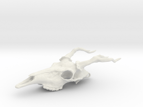 Deer Skull Necklace  in White Natural Versatile Plastic