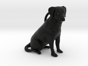 Custom Dog Figurine - Noodle in Full Color Sandstone