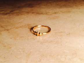 Elleve Ring US Size 8 UK Size Q in 18K Gold Plated