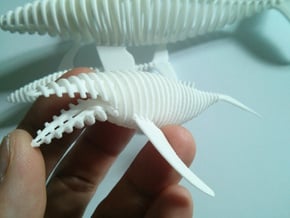slicy bendy whale in White Natural Versatile Plastic
