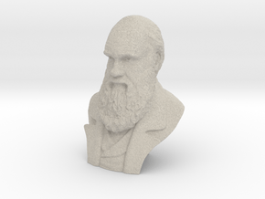 Charles Darwin 9" Bust in Natural Sandstone