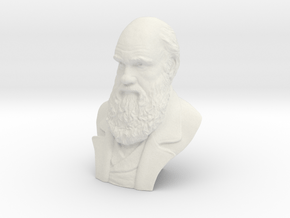 Charles Darwin 9" Bust in White Natural Versatile Plastic