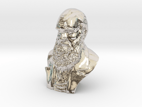Charles Darwin 4"Bust in Platinum