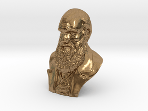 Charles Darwin 4"Bust in Natural Brass