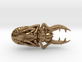 Stag Beetle in Natural Brass