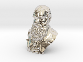 Charles Darwin 3" Bust in Platinum