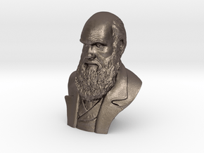 Charles Darwin 3" Bust in Polished Bronzed Silver Steel