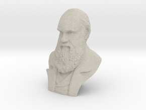 Charles Darwin 2" Bust in Natural Sandstone