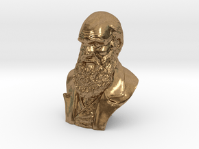 Charles Darwin 2" Bust in Natural Brass