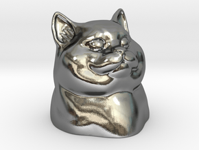 Heavy Breathing Cat in Polished Silver