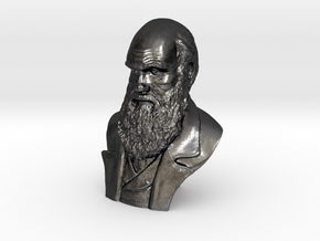 Charles Darwin 16" Bust in Polished and Bronzed Black Steel