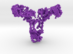 Antibody - IgA2 - monomer in Purple Processed Versatile Plastic