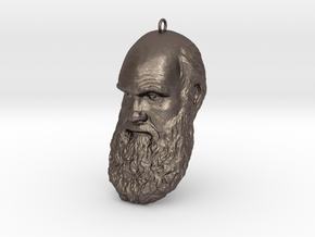 Charles Darwin 6" Head with Hanger, Ornament in Polished Bronzed Silver Steel