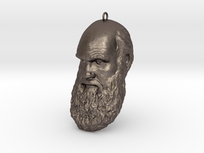 Charles Darwin 6" Head Decimated in Polished Bronzed Silver Steel