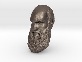 Charles Darwin 15" Life Size Head, Wall Mount in Polished Bronzed Silver Steel