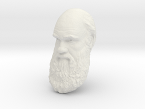 Charles Darwin 8" Head Wall Mount in White Natural Versatile Plastic