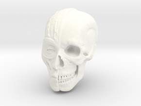Anatomy Head in White Processed Versatile Plastic