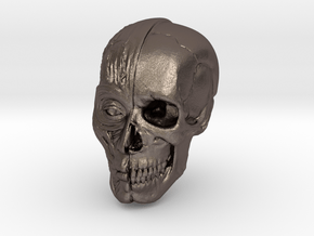 Anatomy Head in Polished Bronzed Silver Steel