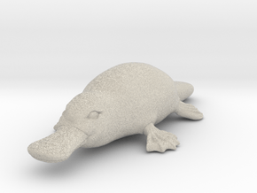 Platypus in Natural Sandstone