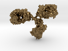 Immunoglobulin Antibody in Natural Bronze