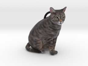 Custom Cat Ornament - Chillydog in Full Color Sandstone
