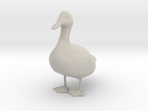 Mallard Duck, Male in Natural Sandstone