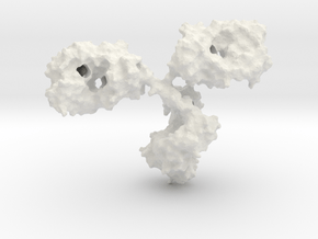Immunoglobulin Antibody in White Natural Versatile Plastic