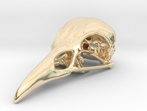 Bird Skull Pendant/Bead in 14K Yellow Gold
