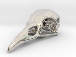Bird Skull Pendant/Bead in Platinum