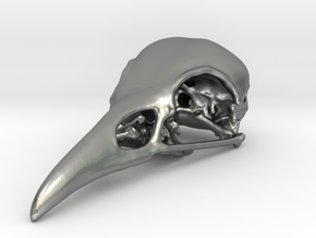 Bird Skull Pendant/Bead in Natural Silver