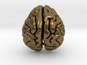 Orangutan Brain in Natural Bronze