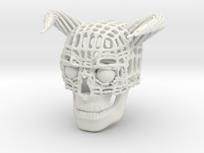 Skull of Devil in White Natural Versatile Plastic