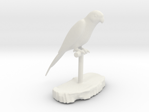 Bird Beauty Lorikeet Full Color by Space 3D  in White Natural Versatile Plastic