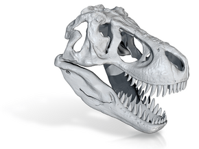 Digital-Tyrannosaurus Dinosaur Skull - T-Rex Skull in Tyrannosaurus Dinosaur Skull - T-Rex Skull 1:40