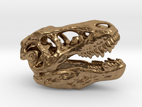 Tyrannosaurus rex skull - 40mm in Natural Brass