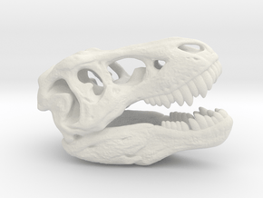 Tyrannosaurus rex skull - 40mm in White Natural Versatile Plastic