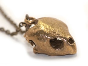 Loggerhead Sea Turtle Skull in Natural Brass