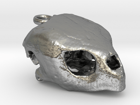 Loggerhead Sea Turtle Skull in Natural Silver