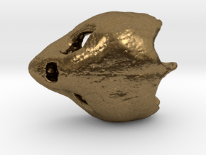 Loggerhead Sea Turtle Skull in Natural Bronze