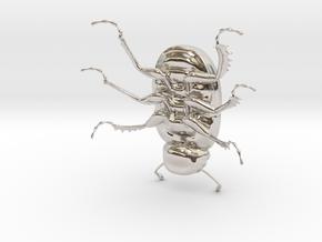 Dung Beetle in Platinum