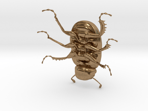 Dung Beetle in Natural Brass