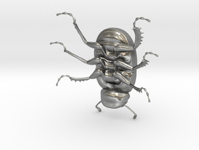Dung Beetle in Natural Silver