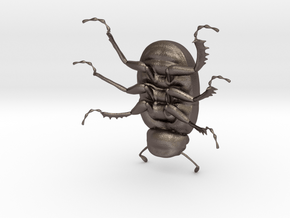 Dung Beetle in Polished Bronzed Silver Steel